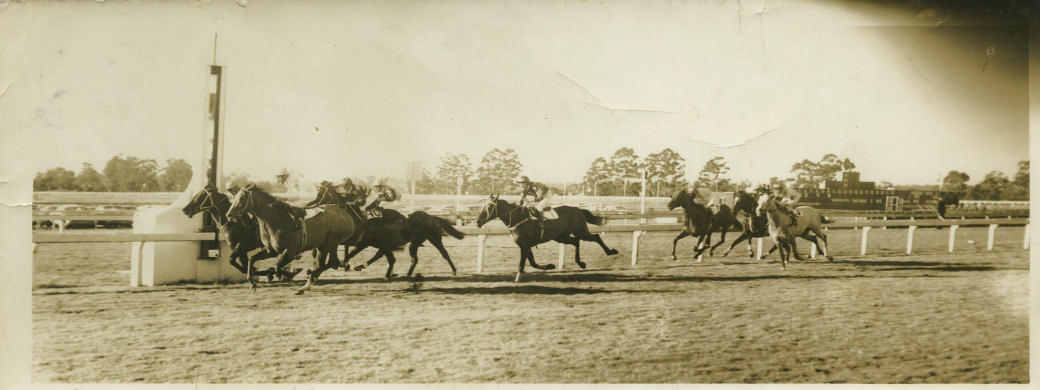Horseracing at Warwick Farm, circa 1960s