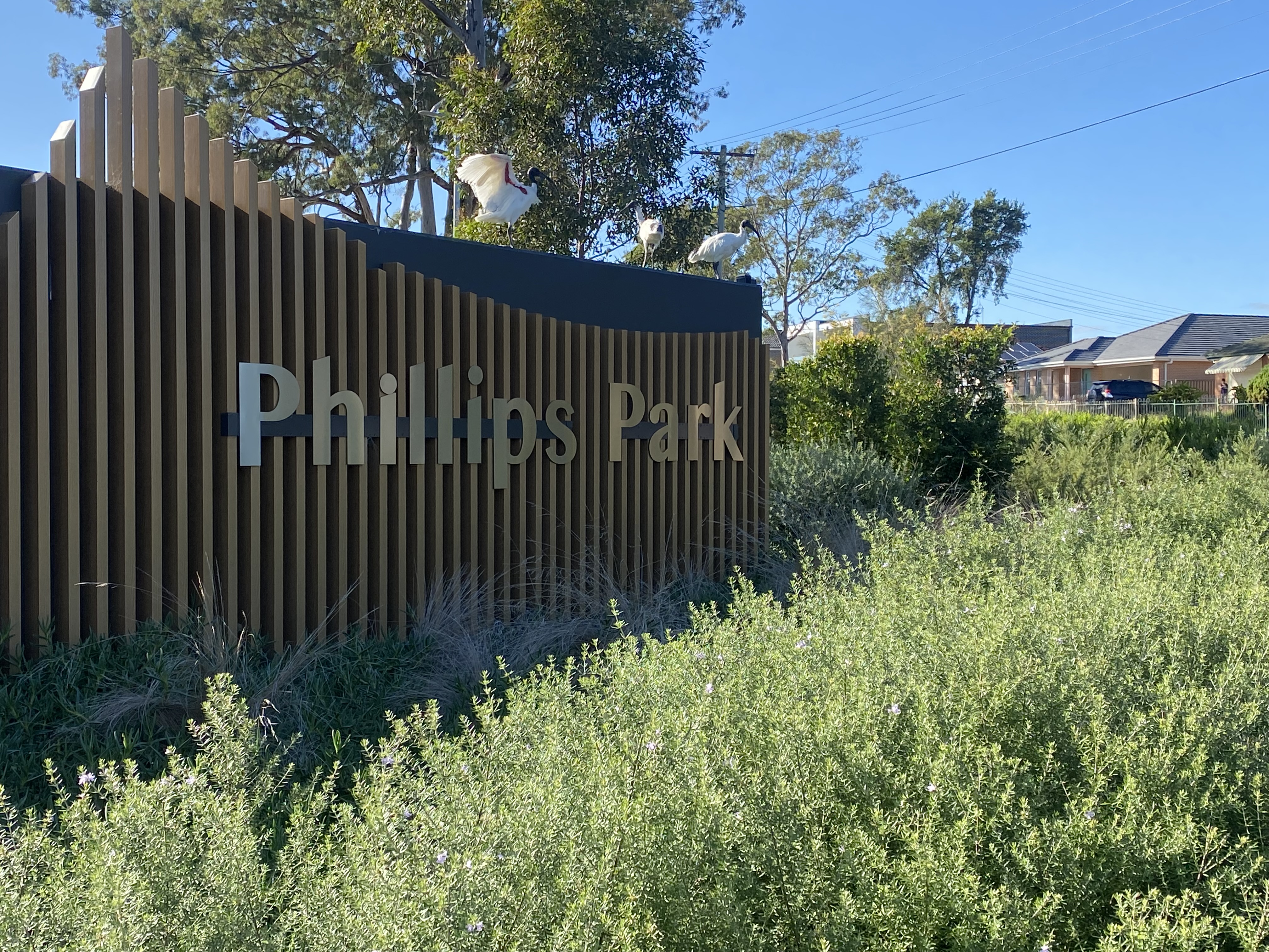 Phillips Park Community Hub, Wonga Road Lurnea, April 2024.